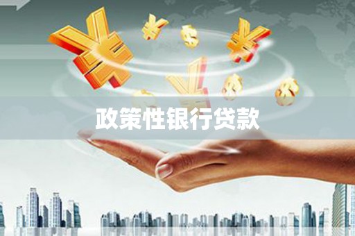 郧西政策性银行贷款