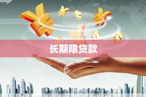 郧西长期限贷款