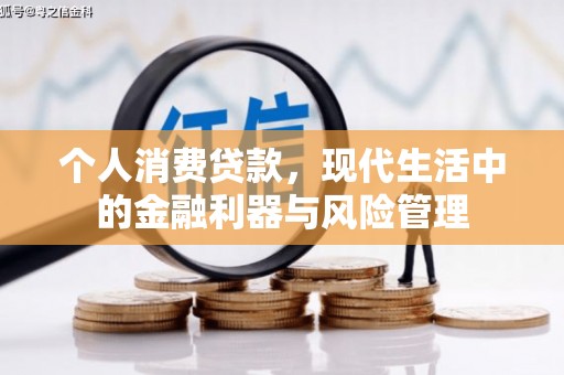 郧西个人消费贷款，现代生活中的金融利器与风险管理