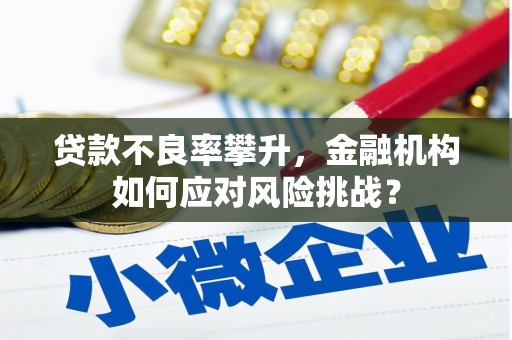 郧西贷款不良率攀升，金融机构如何应对风险挑战？