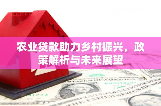 郧西农业贷款助力乡村振兴，政策解析与未来展望