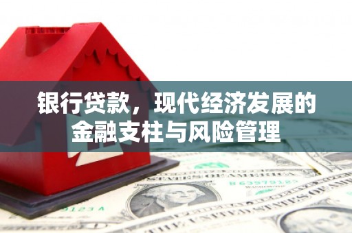 郧西银行贷款，现代经济发展的金融支柱与风险管理