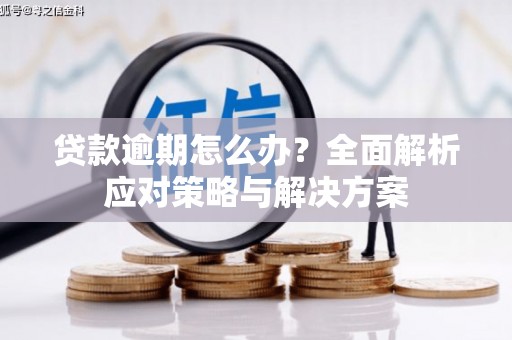 郧西贷款逾期怎么办？全面解析应对策略与解决方案