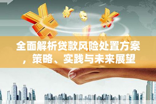 郧西全面解析贷款风险处置方案，策略、实践与未来展望