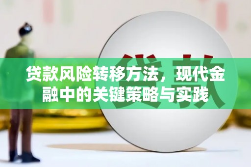 郧西贷款风险转移方法，现代金融中的关键策略与实践