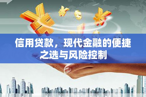 郧西信用贷款，现代金融的便捷之选与风险控制