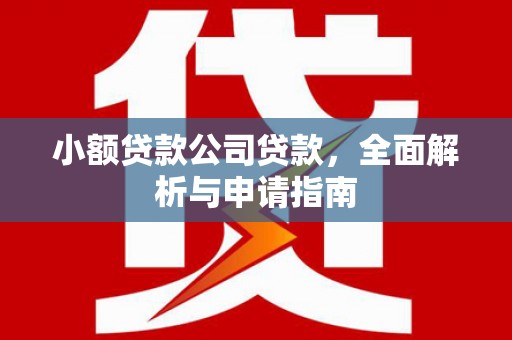 郧西小额贷款公司贷款，全面解析与申请指南
