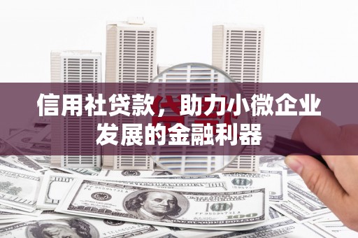 郧西信用社贷款，助力小微企业发展的金融利器
