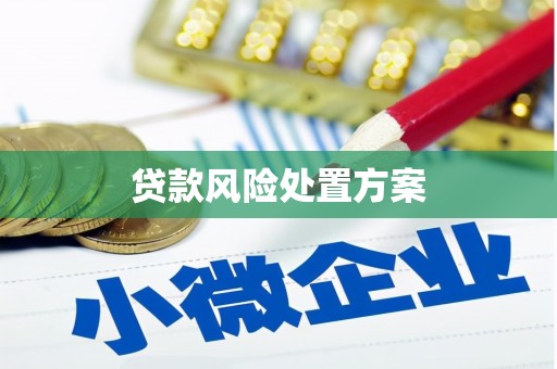 郧西贷款风险处置方案