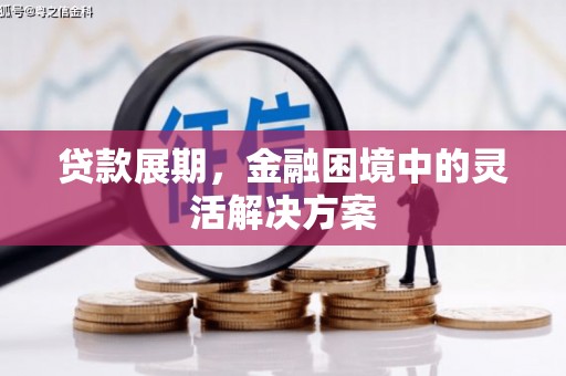 郧西贷款展期，金融困境中的灵活解决方案