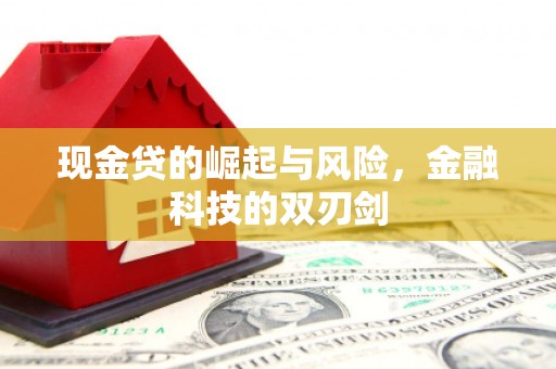 郧西现金贷的崛起与风险，金融科技的双刃剑