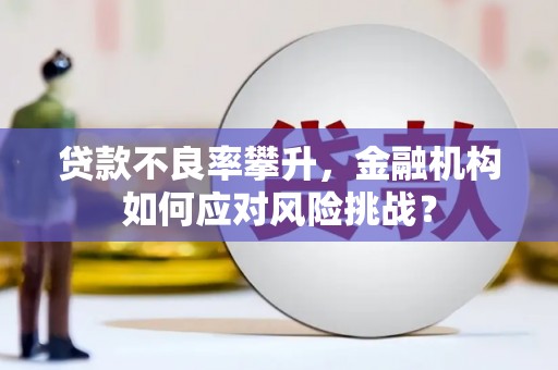 郧西贷款不良率攀升，金融机构如何应对风险挑战？