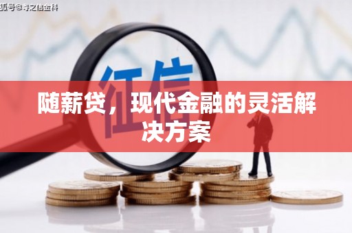 郧西随薪贷，现代金融的灵活解决方案