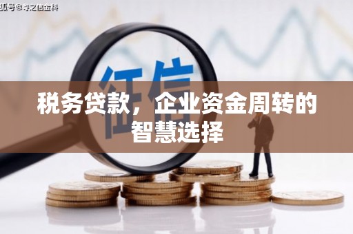 郧西税务贷款，企业资金周转的智慧选择