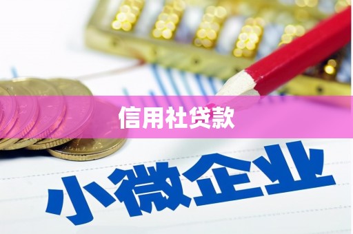 郧西信用社贷款