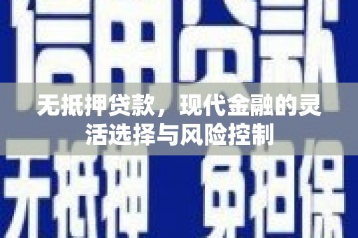 郧西无抵押贷款，现代金融的灵活选择与风险控制