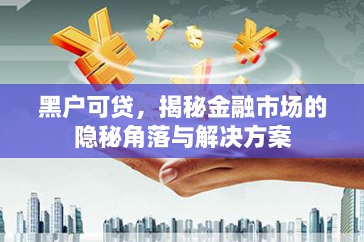 郧西黑户可贷，揭秘金融市场的隐秘角落与解决方案