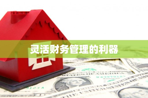 郧西灵活财务管理的利器