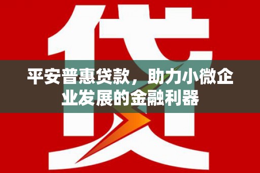 郧西平安普惠贷款，助力小微企业发展的金融利器