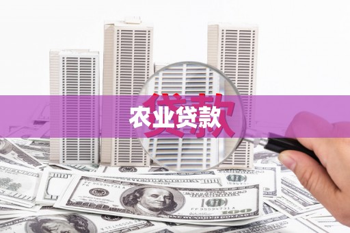 郧西农业贷款