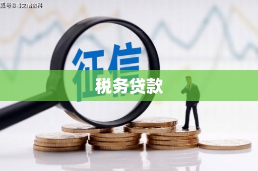 郧西税务贷款