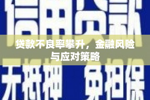 郧西贷款不良率攀升，金融风险与应对策略