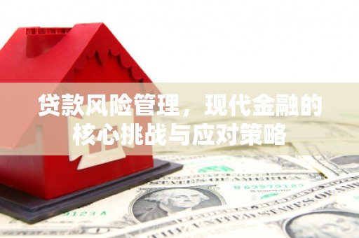郧西贷款风险管理，现代金融的核心挑战与应对策略