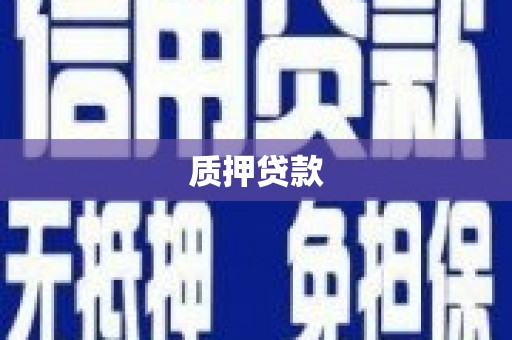 郧西质押贷款