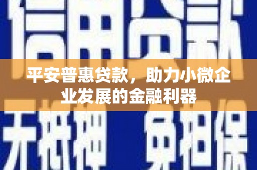 郧西平安普惠贷款，助力小微企业发展的金融利器