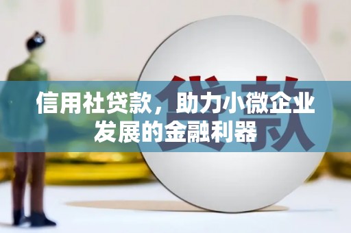 郧西信用社贷款，助力小微企业发展的金融利器