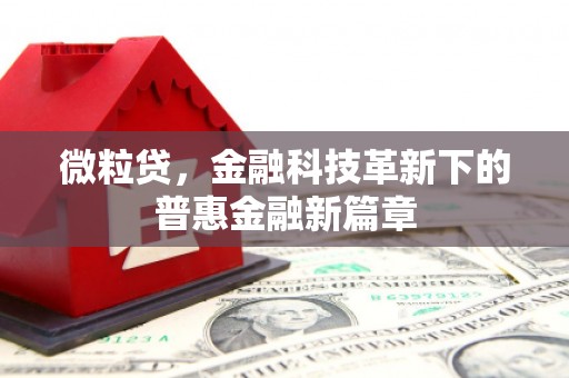 郧西微粒贷，金融科技革新下的普惠金融新篇章