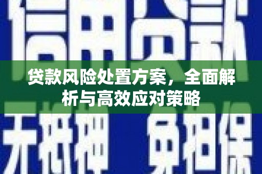 郧西贷款风险处置方案，全面解析与高效应对策略