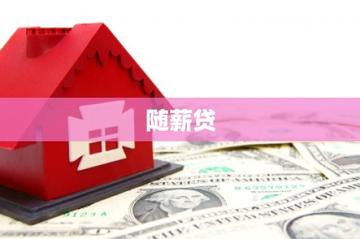郧西随薪贷