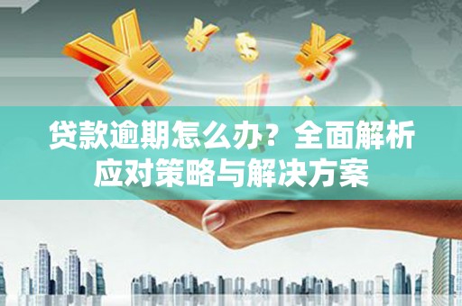 郧西贷款逾期怎么办？全面解析应对策略与解决方案