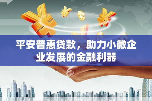 郧西平安普惠贷款，助力小微企业发展的金融利器