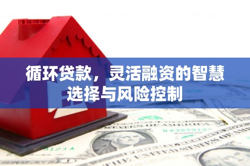 郧西循环贷款，灵活融资的智慧选择与风险控制