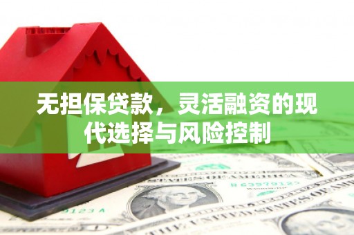 郧西无担保贷款，灵活融资的现代选择与风险控制