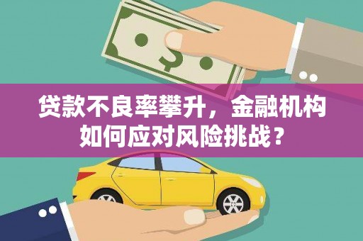 郧西贷款不良率攀升，金融机构如何应对风险挑战？