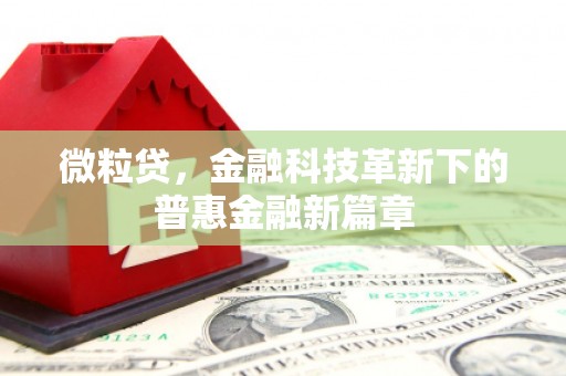 郧西微粒贷，金融科技革新下的普惠金融新篇章
