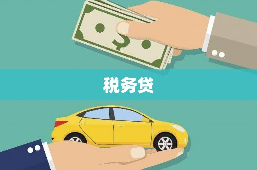 郧西税务贷
