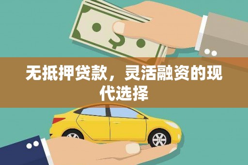 郧西无抵押贷款，灵活融资的现代选择