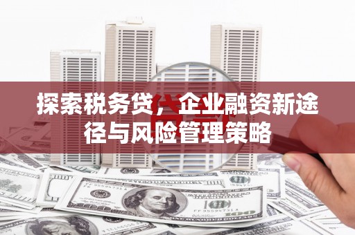 郧西探索税务贷，企业融资新途径与风险管理策略