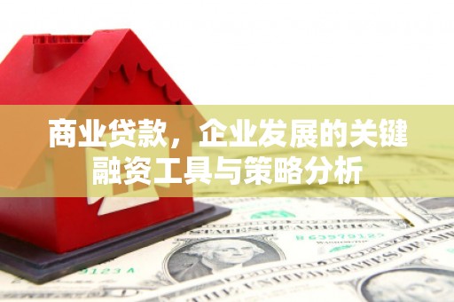 郧西商业贷款，企业发展的关键融资工具与策略分析
