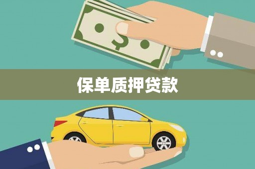 郧西保单质押贷款