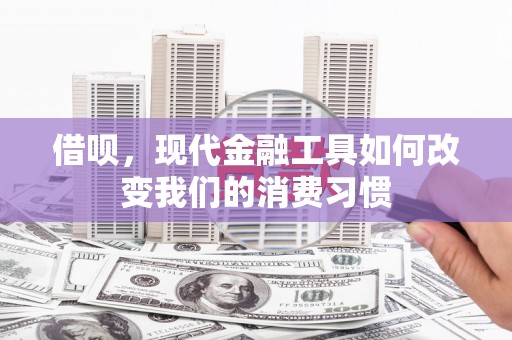 郧西借呗，现代金融工具如何改变我们的消费习惯