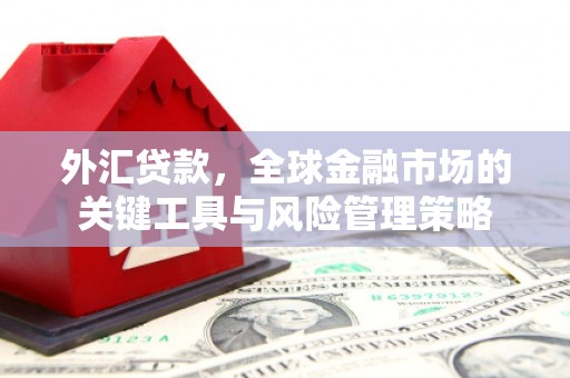 郧西外汇贷款，全球金融市场的关键工具与风险管理策略