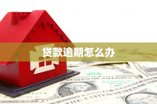 郧西贷款逾期怎么办