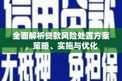 郧西全面解析贷款风险处置方案，策略、实施与优化