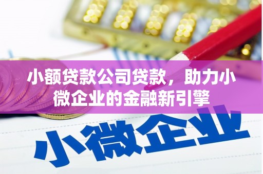 郧西小额贷款公司贷款，助力小微企业的金融新引擎