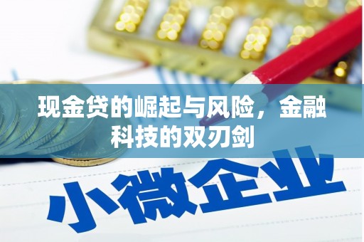郧西现金贷的崛起与风险，金融科技的双刃剑